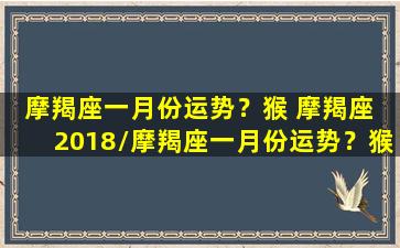 摩羯座一月份运势？猴 摩羯座 2018/摩羯座一月份运势？猴 摩羯座 2018-我的网站